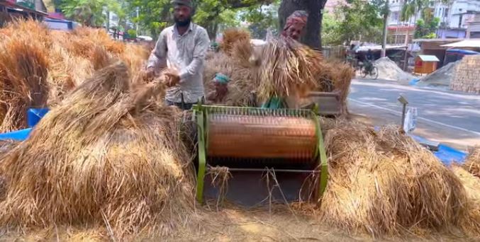 BARI Open Drum Thresher